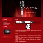 Příklad webové stránky pro ozvučovací firmu - ZVUK BŘECLAV